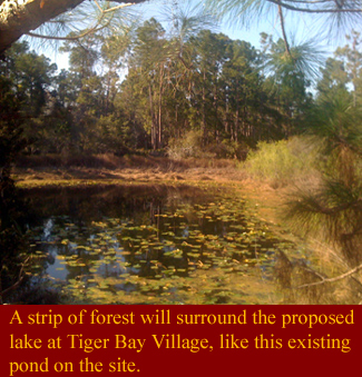 Pond at Tiger Bay
